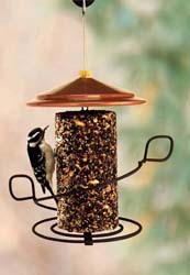 Holscher Feeder With Seed Cylinder