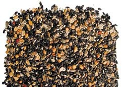Choice Seed